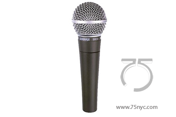 Enlarged view of image